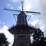 SNC00662